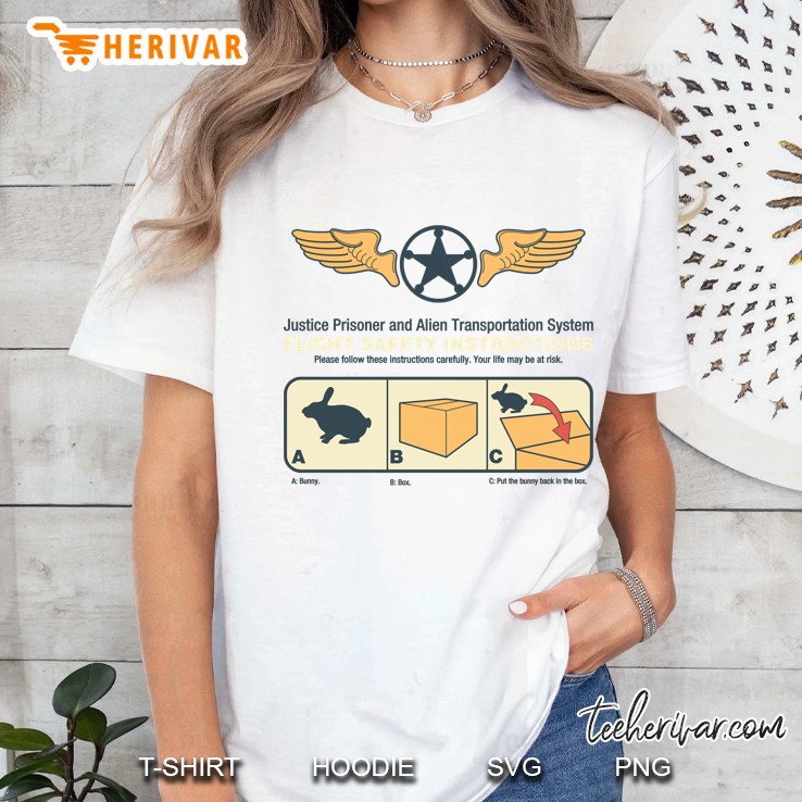 Put The Bunny Back In The Box Ladies Tee