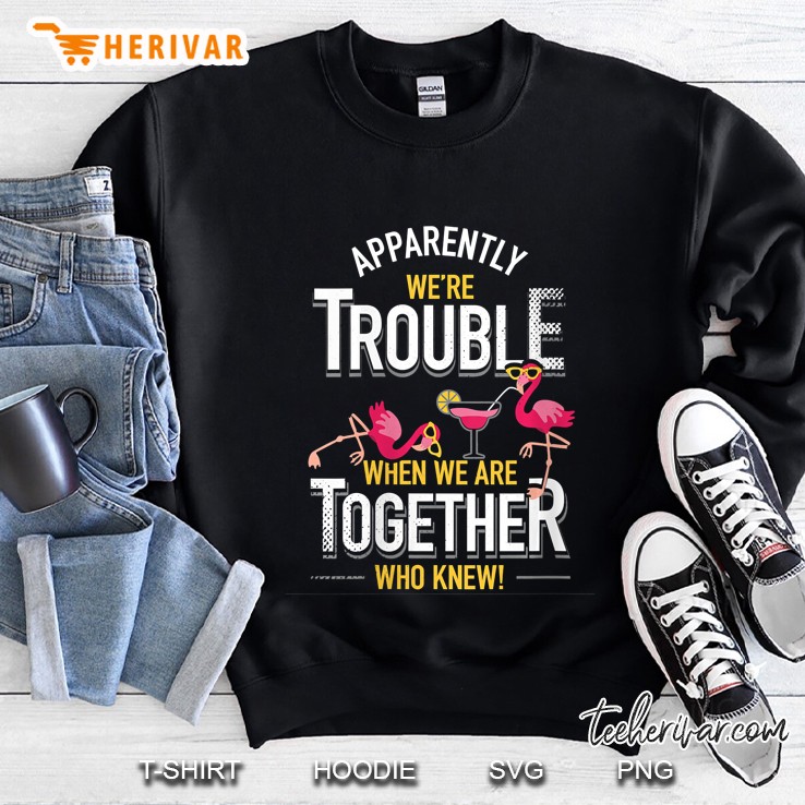 Womens Apparently We Are Trouble When We Are Together Who Knew V-Neck Sweatshirt