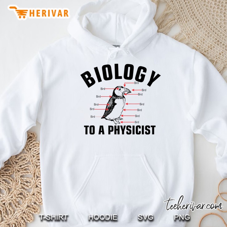 Biology To A Physicist Funny Physics Science Teacher Gift Hoodie