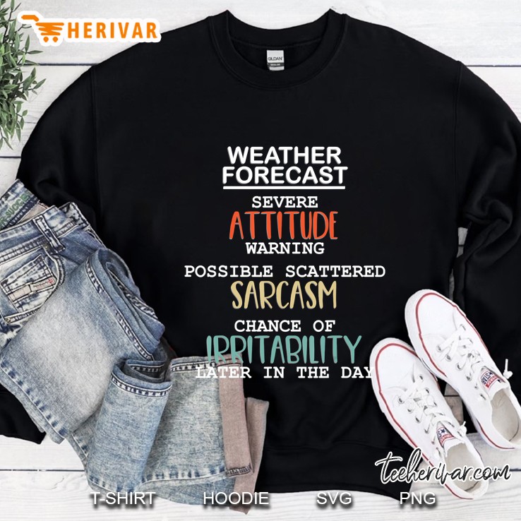 Attitude Shirt For Women Funny Sarcasm Irritable Tshirt Gift Sweatshirt