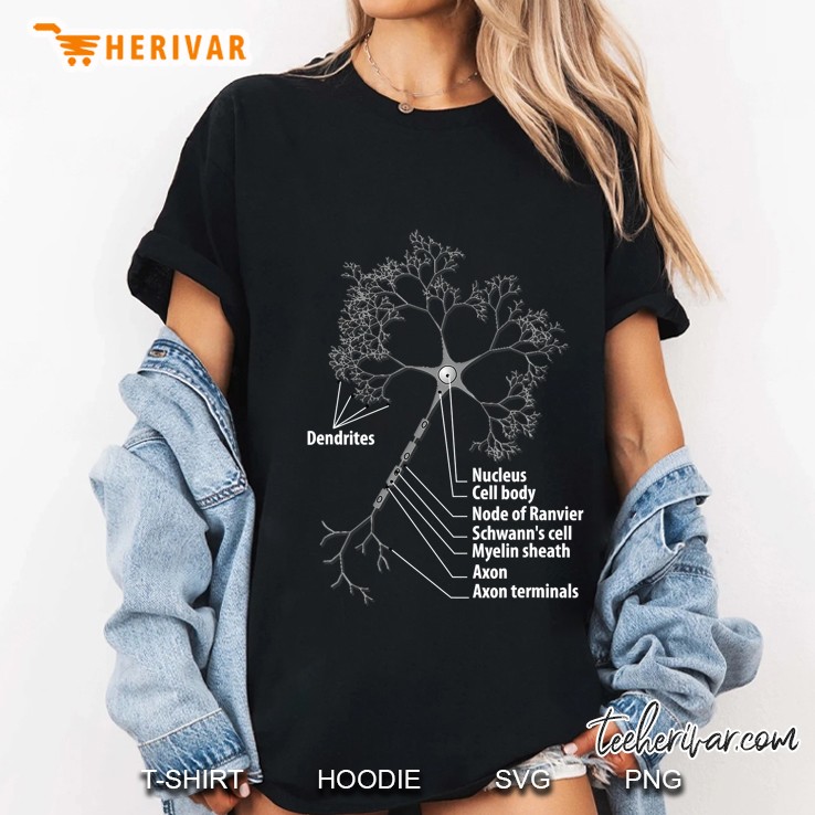 Neuron Biology Neuroscience Ladies Tee