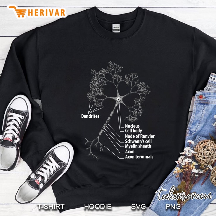 Neuron Biology Neuroscience Sweatshirt