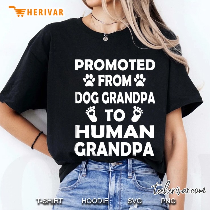 Promoted From Dog Grandpa To Human Grandpa Hoodie