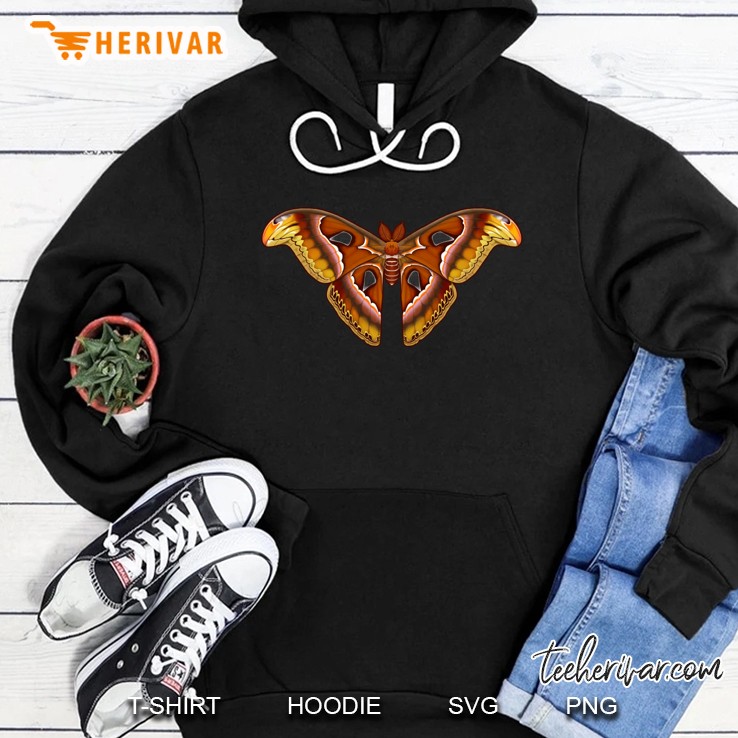 Atlas Moth Classic Hoodie