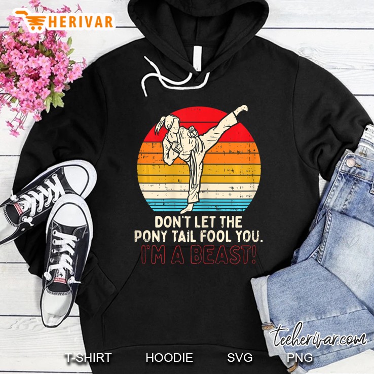 Dont Let Ponytail Fool You Girl Kick Karate Taekwondo Gift Hoodie
