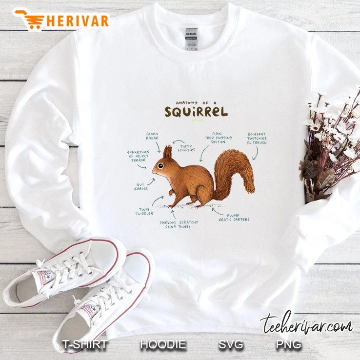 Anatomy Of A Squirrel Classic Mugs