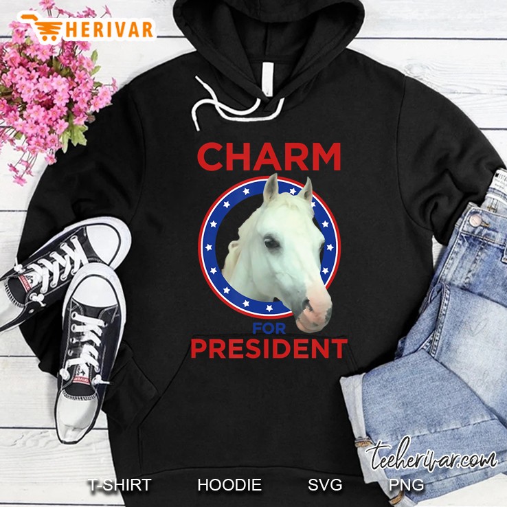 Charm For President Hoodie