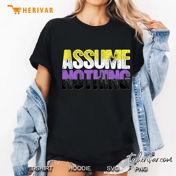 Assume Nothing Nonbinary Pride Pullover Ladies Tee