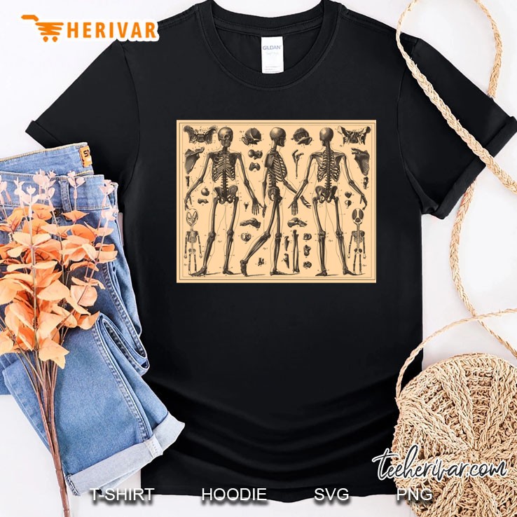Vintage Human Skeleton Anatomy Diagram (1907) Classic Shirt