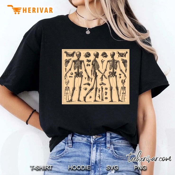 Vintage Human Skeleton Anatomy Diagram (1907) Classic Ladies Tee