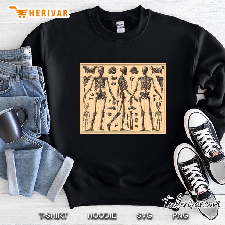 Vintage Human Skeleton Anatomy Diagram (1907) Classic Sweatshirt