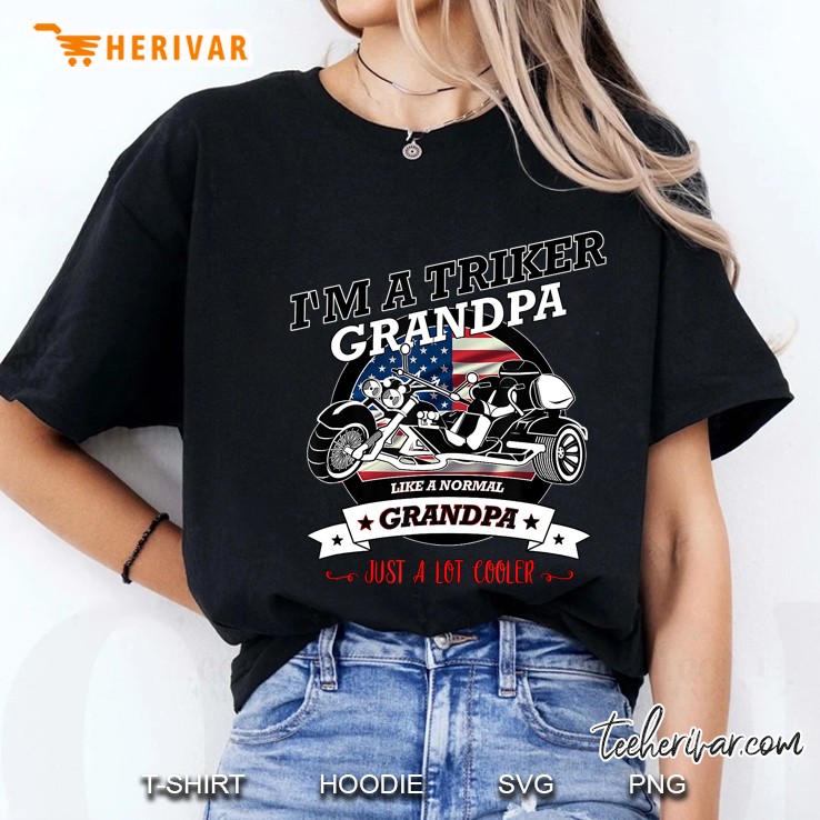 Cool Usa Triker Grandpa, Trike Gift Design Hoodie