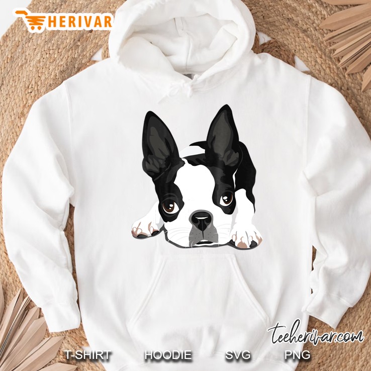 Boston Terrier Dog Hoodie