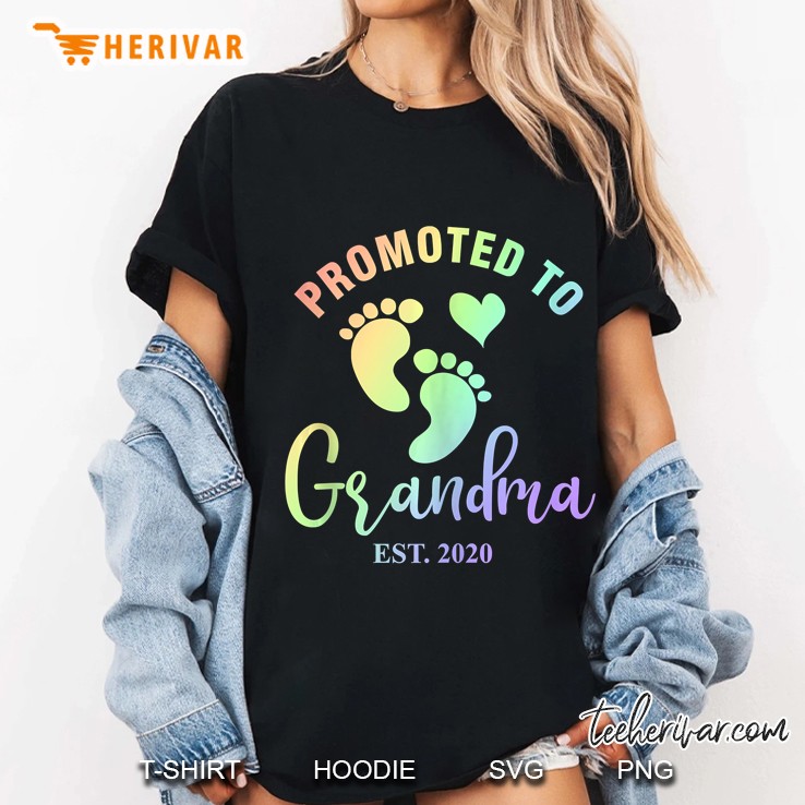 Promoted To Grandma 2020 Trendy Rainbow Gift Ladies Tee