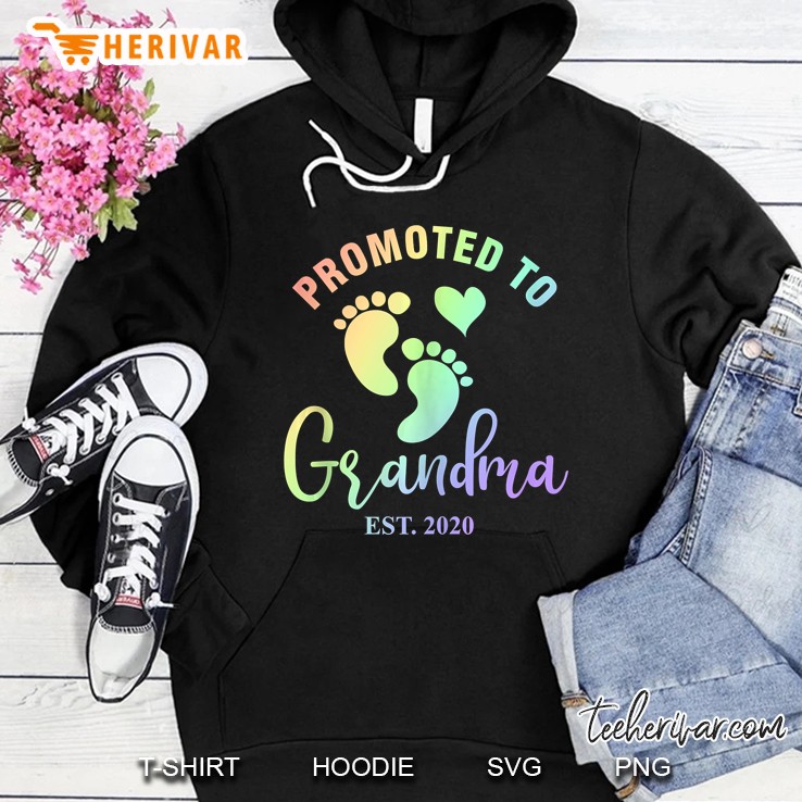 Promoted To Grandma 2020 Trendy Rainbow Gift Hoodie