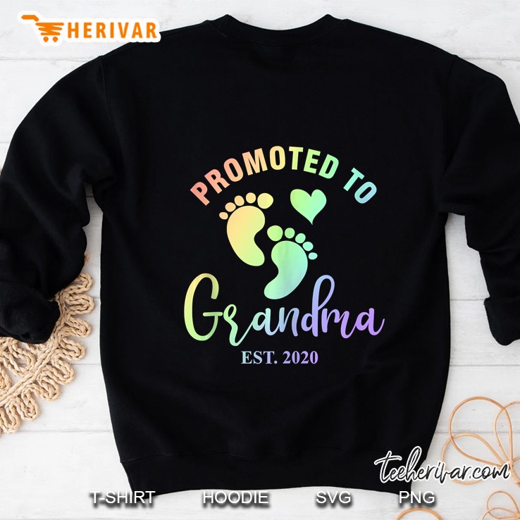 Promoted To Grandma 2020 Trendy Rainbow Gift Sweatshirt