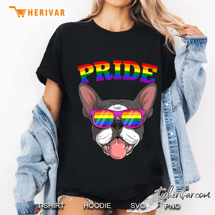 Lgbt Boston Terrier Dog Gay Pride Rainbow Lgbtq Gift Cute Ladies Tee
