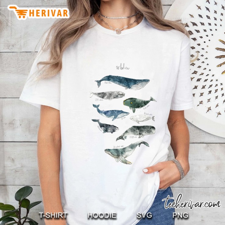 Whales Classic Ladies Tee