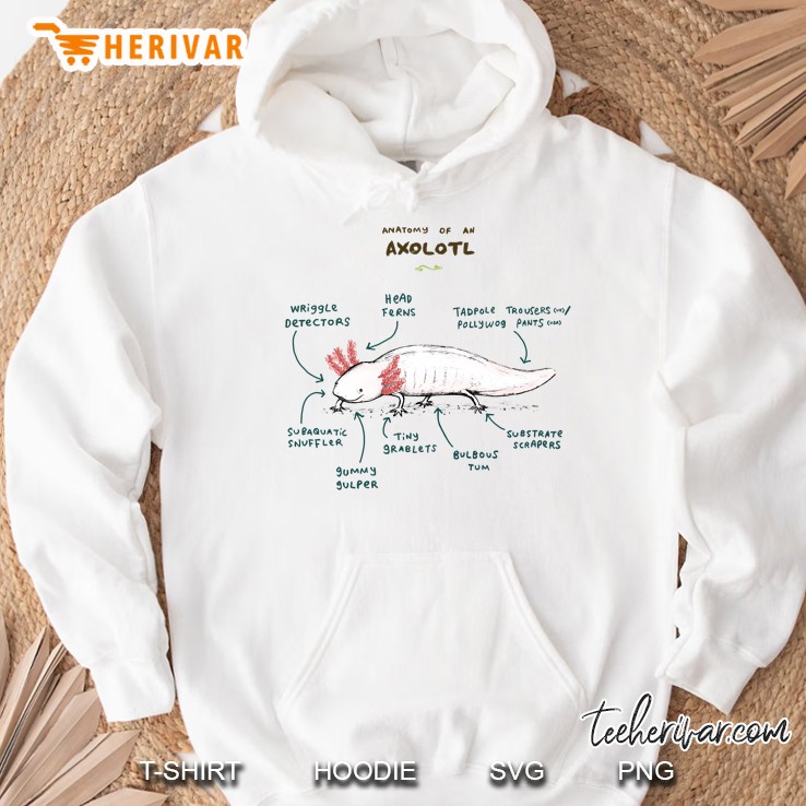 Anatomy Of An Axolotl Classic Hoodie