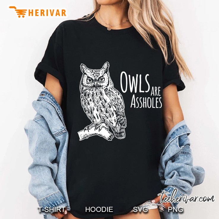 Owls Are Assholes Ladies Tee