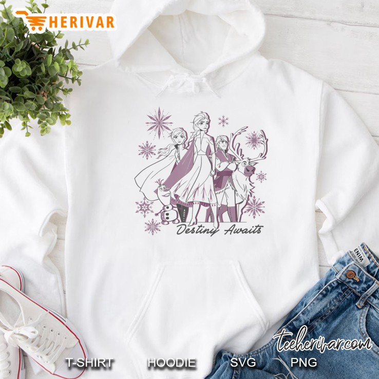 Disney Frozen 2 Group Shot Destiny Awaits Hoodie