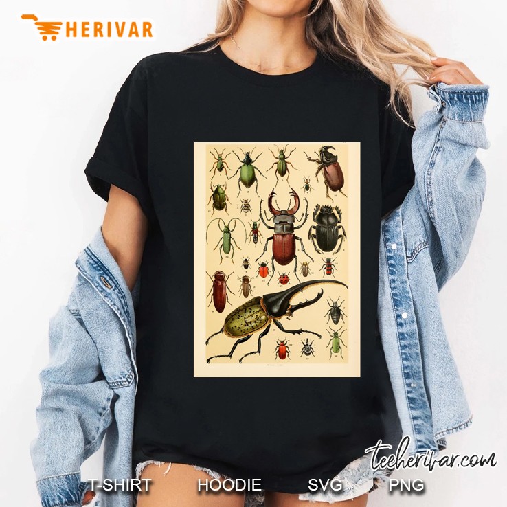 Vintage Wild Insects Classic Ladies Tee