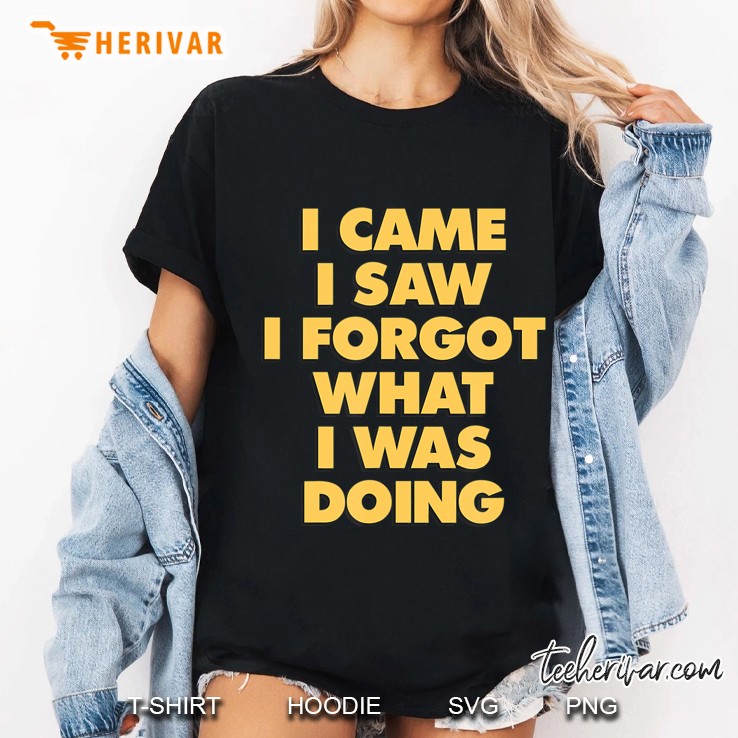 Funny Saying I Came I Saw I Forgot What I Was Doing Vintage Ladies Tee
