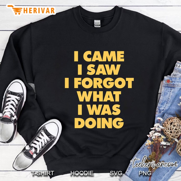 Funny Saying I Came I Saw I Forgot What I Was Doing Vintage Sweatshirt