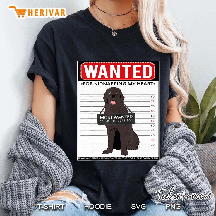 Vintage Newfoundland Men Women Kids Gift Ladies Tee