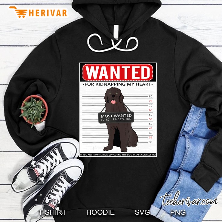 Vintage Newfoundland Men Women Kids Gift Hoodie