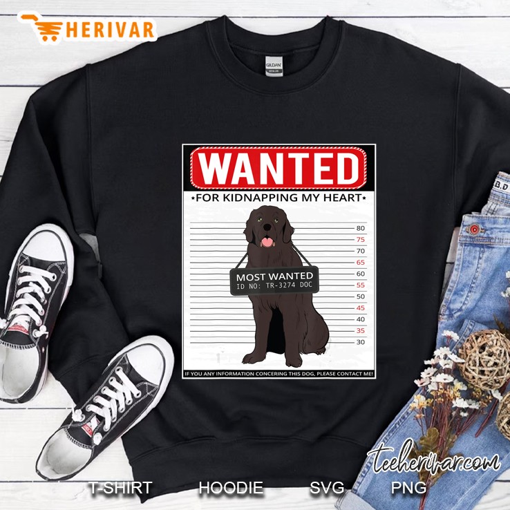 Vintage Newfoundland Men Women Kids Gift Sweatshirt