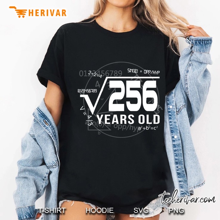 Square Root Of 256 Years Old Yrs 16Th Birthday Hoodie