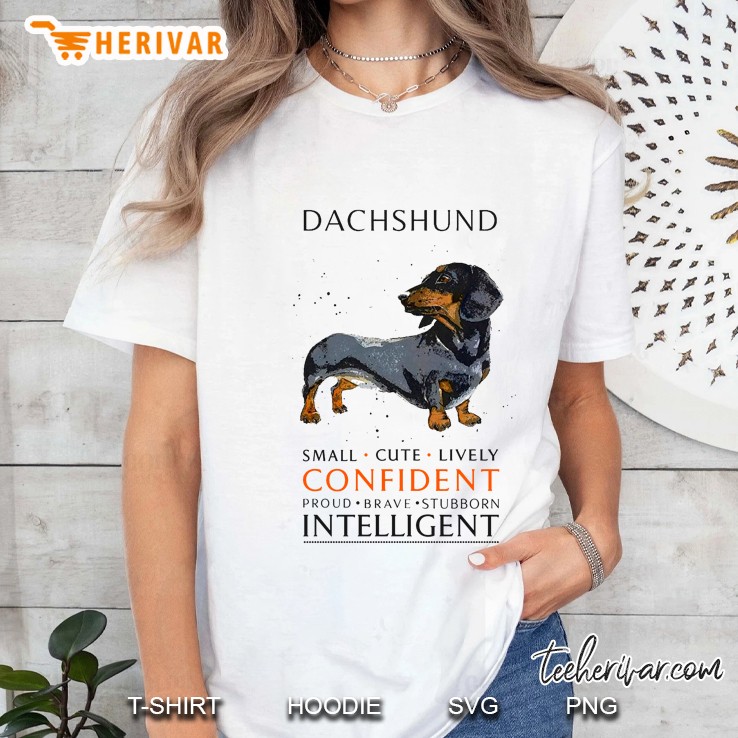 Dachshund Small Cute Lively Confident Proud Brave Stubborn Intelligent Hoodie