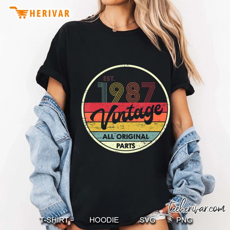 Retro Vintage 1987 Tshirt 33Th Birthday Gifts 33 Years Old Hoodie