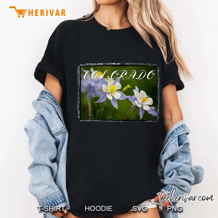 Colorado Columbine Scenic Ladies Tee