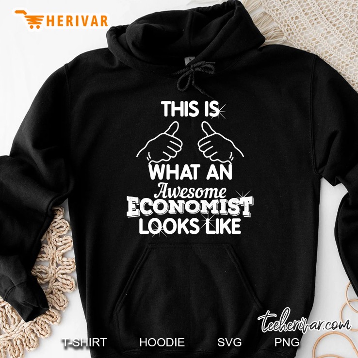This Is What An Awesome Economist Looks Like Hoodie