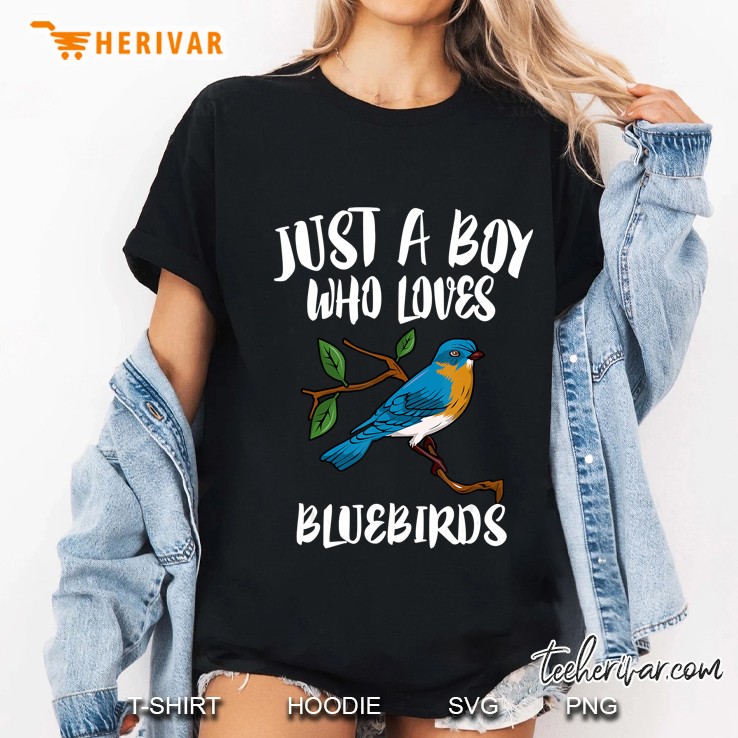Just A Boy Who Loves Bluebirds Birding Gift Ladies Tee