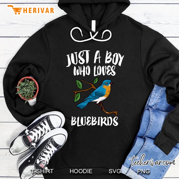 Just A Boy Who Loves Bluebirds Birding Gift Hoodie