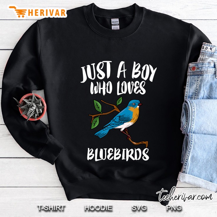 Just A Boy Who Loves Bluebirds Birding Gift Sweatshirt