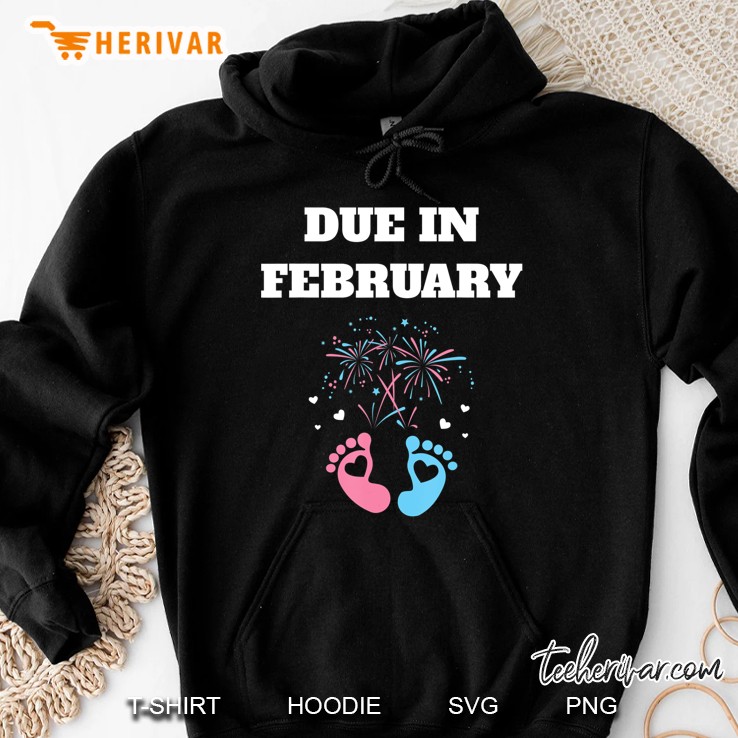 Expecting Moms Baby Gender Neutral Due In February Shirt Hoodie