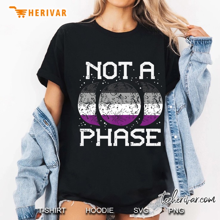 Asexual Pride Moon Not A Phase Funny Ace Flag Lgbtq Ladies Tee