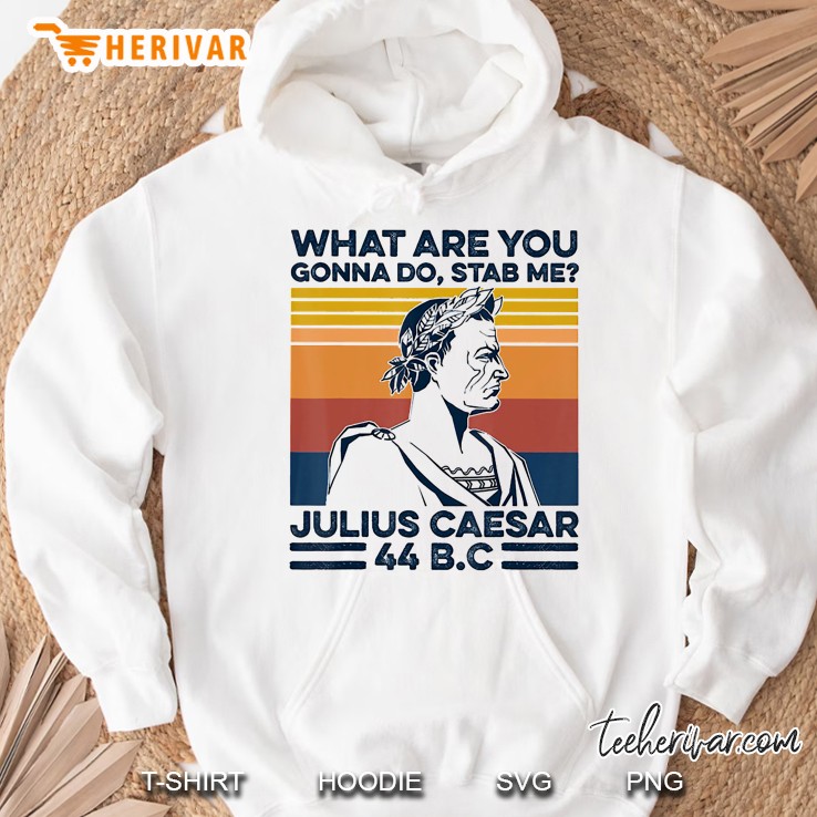 What Are You Gonna Do Stab Me Julius Caesar Hoodie