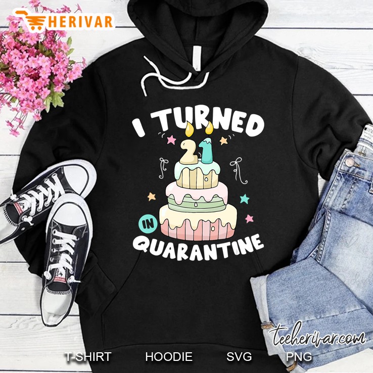 I Turned 21 In Quarantine Birthday Cake Funny Gift Hoodie