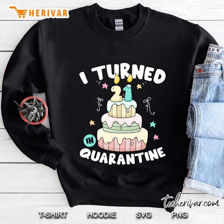 I Turned 21 In Quarantine Birthday Cake Funny Gift Sweatshirt