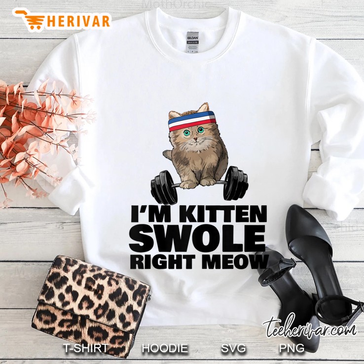 Kitten Swole Right Meow Gym Workout Cat Lover Workout Pun Sweatshirt