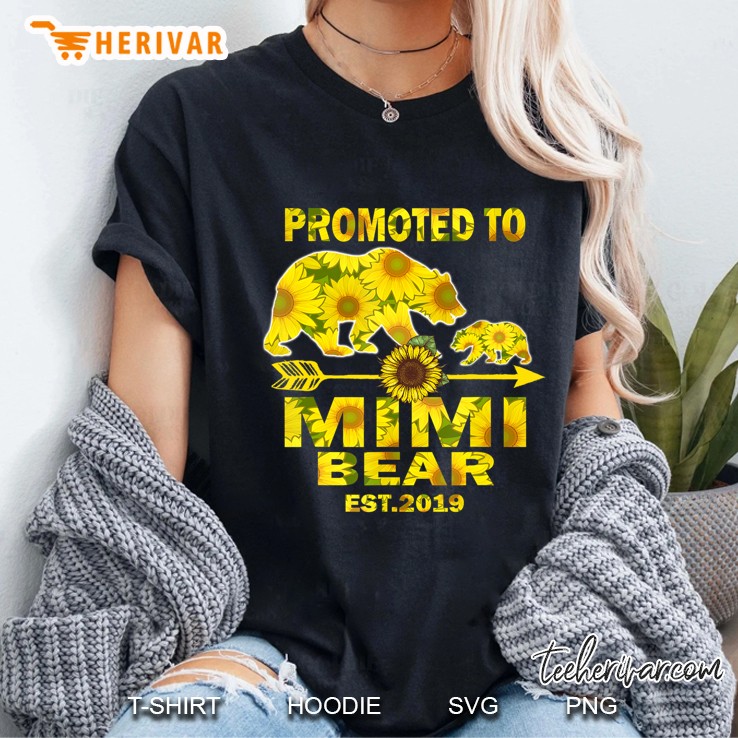 Promoted To Mimi Bear Est 2019 New Mimi Gift Hoodie