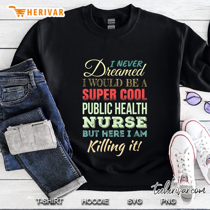 Public Health Nurse Funny Gift Appreciation Sweatshirt